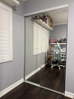 Mirror Closet door