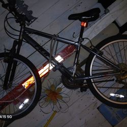 Bicycle's $65 Or Best Cell Phone