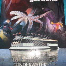 A Guide To The Undersea Gardens 