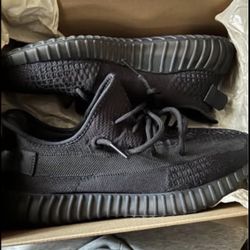 Men's Adidas Yeezy Boost 350 V2 Onyx (Size 11)