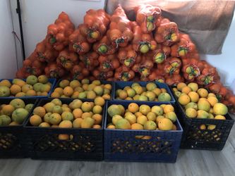 Naranjas/oranges