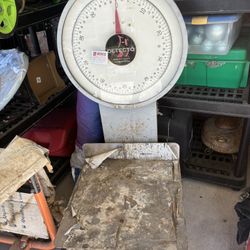  💥💥 báscula💥 Grande Hasta 100 Libras💥