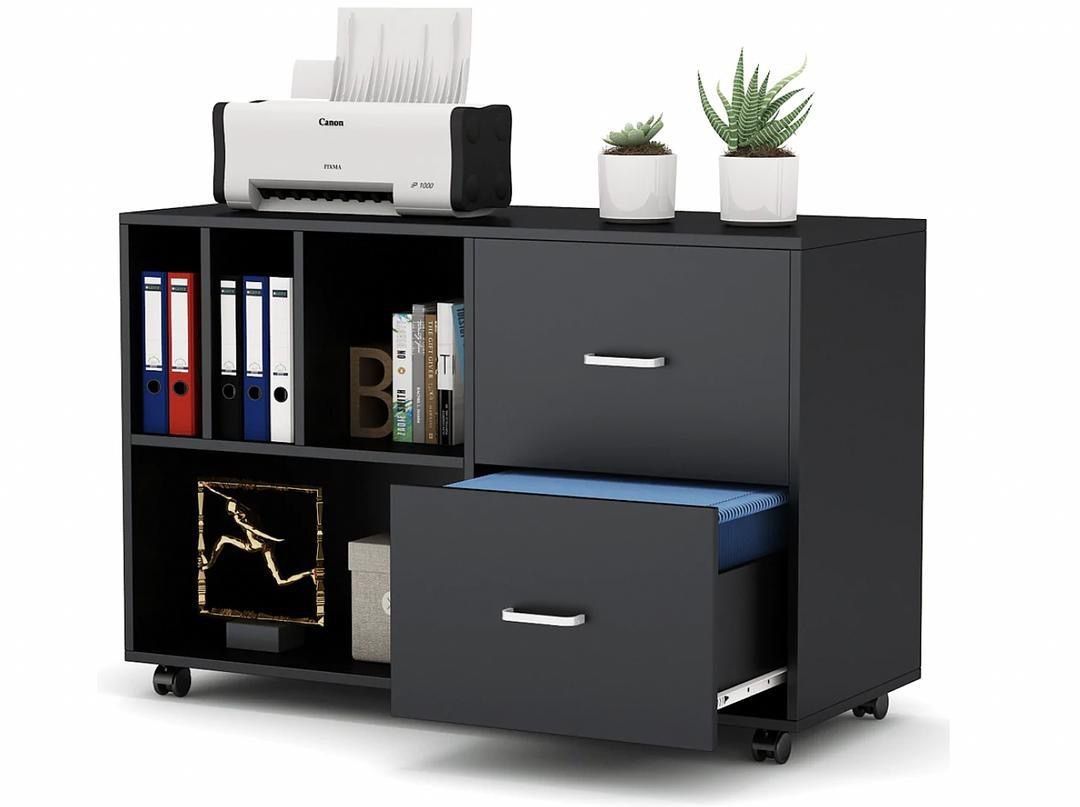 Mobile Lateral File Cabinet with 2 Drawers