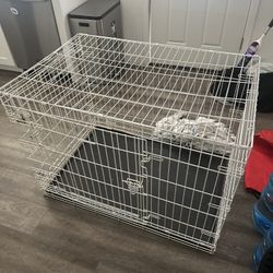 Free Dog Stuff