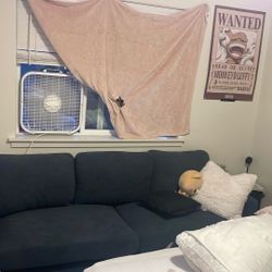 New couch