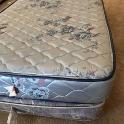PICKUP IN WINTER GARDEN  TWIN MATTRESS SET  