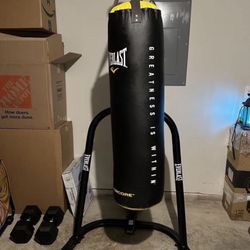 Everlast Punch Bag And Stand. 