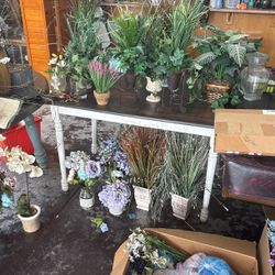 Fake Plants 