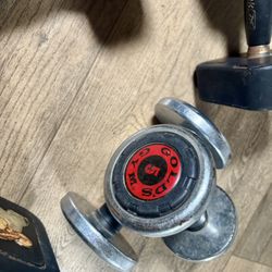 2 Pairs Of Dumbbells  5s And 10s Plus 2 Singles [Reebok) 15 And 20 lbs Respectively.