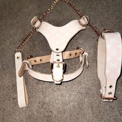 DogCollar 