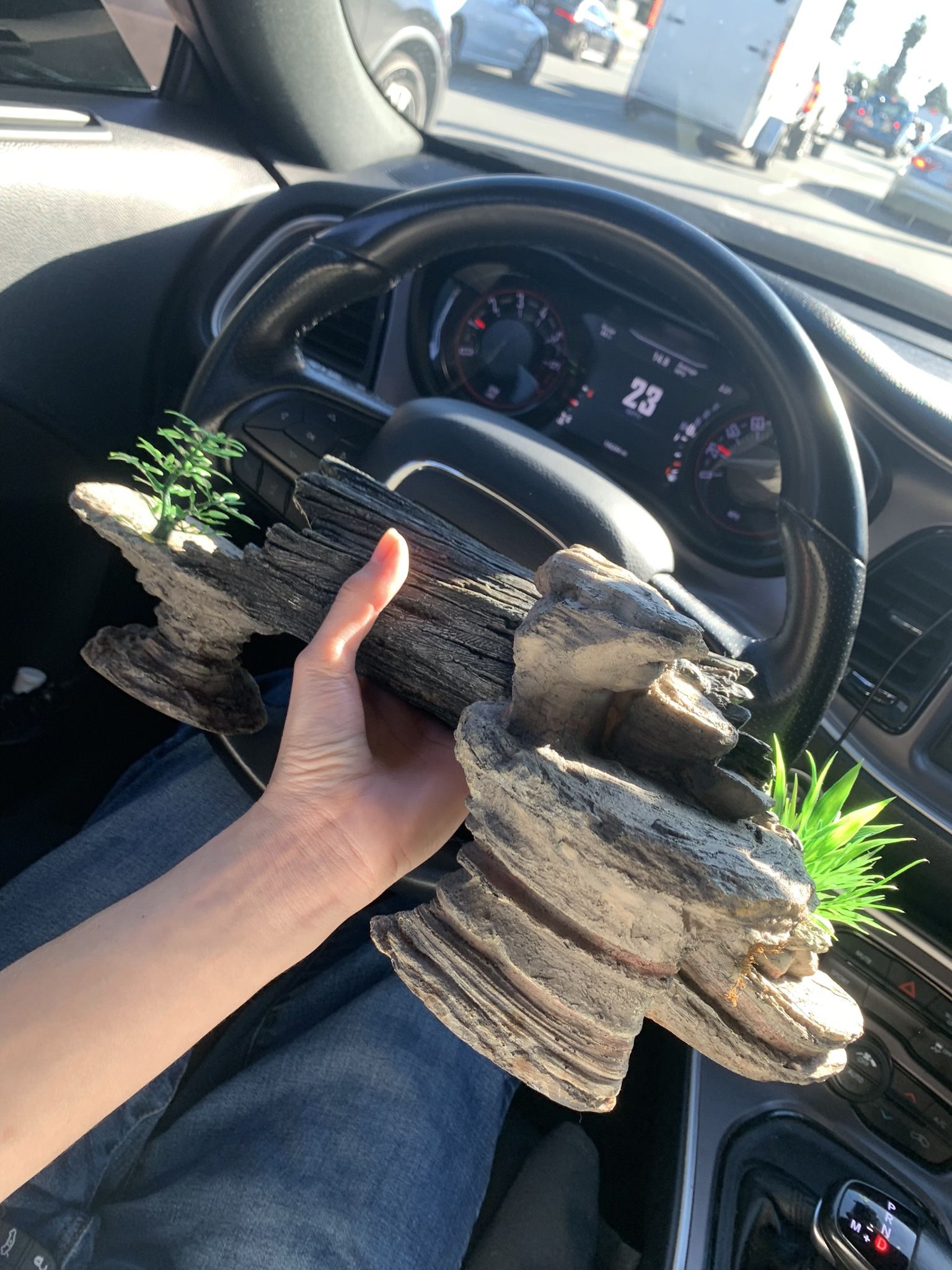 Fish Tank Decoration (reptiles Or Fish) 