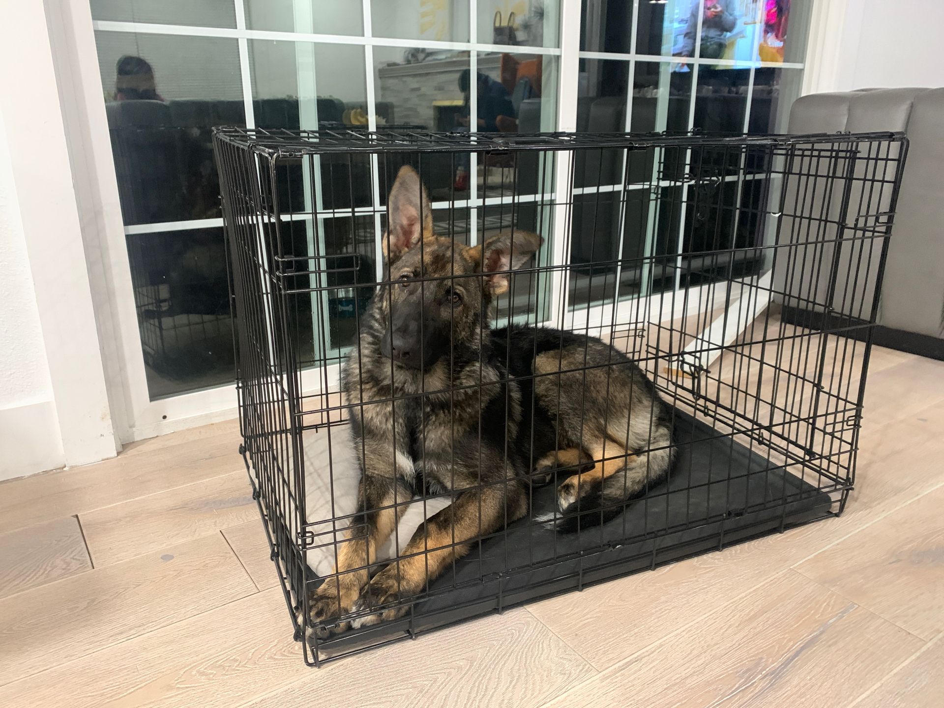 Dog crate for sale!!!
