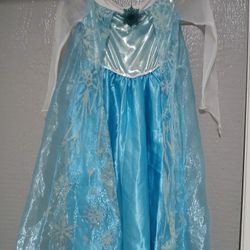 Elsa Frozen Costume/ Dress