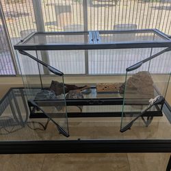 Lizard Glass Enclosure
