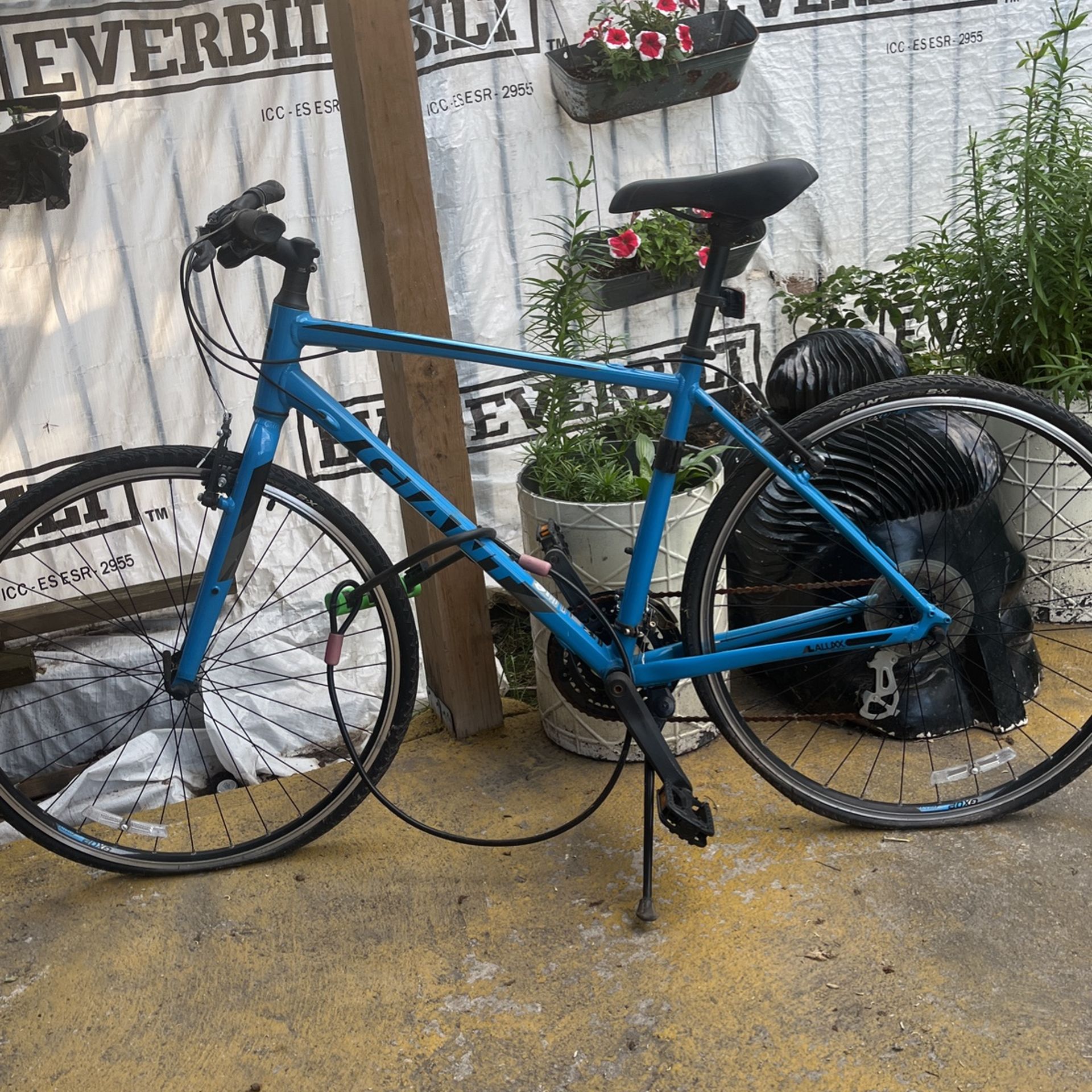 Giant S x 3 Bikes Cycling