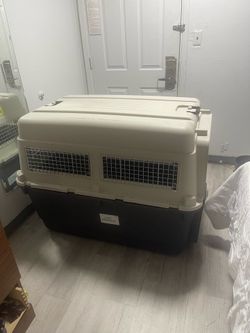 Kennel