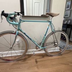 Bianchi reparto corse TSX