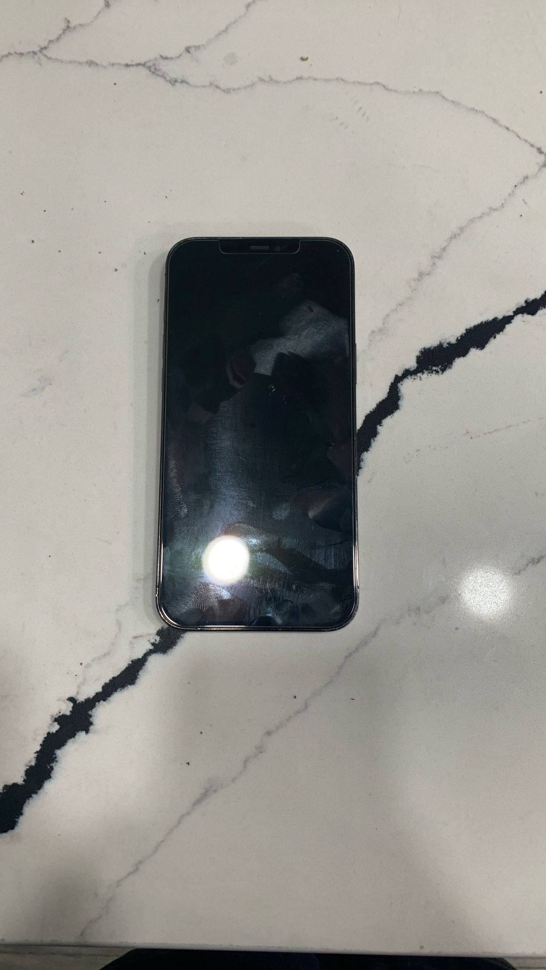 iPhone 12 Pro Max Unlocked To Any Carrier
