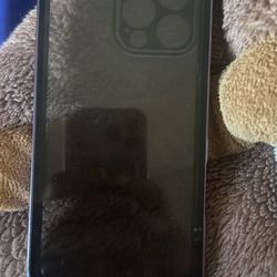 iPhone 16 Pro Max Case