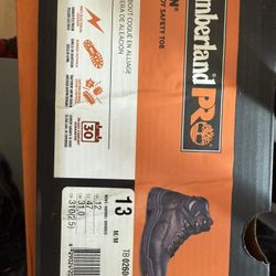 Timberland Safety Boot