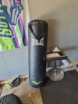 Everlast punching bag