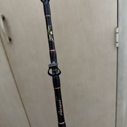 Penn Lw 20 Combo/ Star Rods 