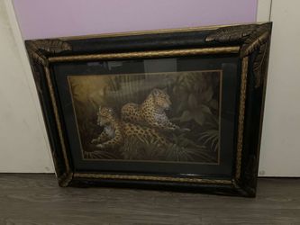 Home interior jungle pictures in very good condition