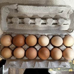 Dozen Farm Fresh Eggs
