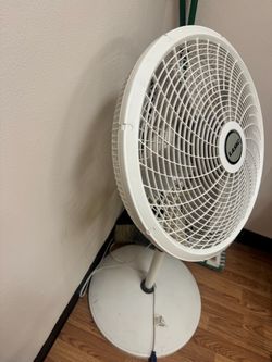 Pedestal big summer fan
