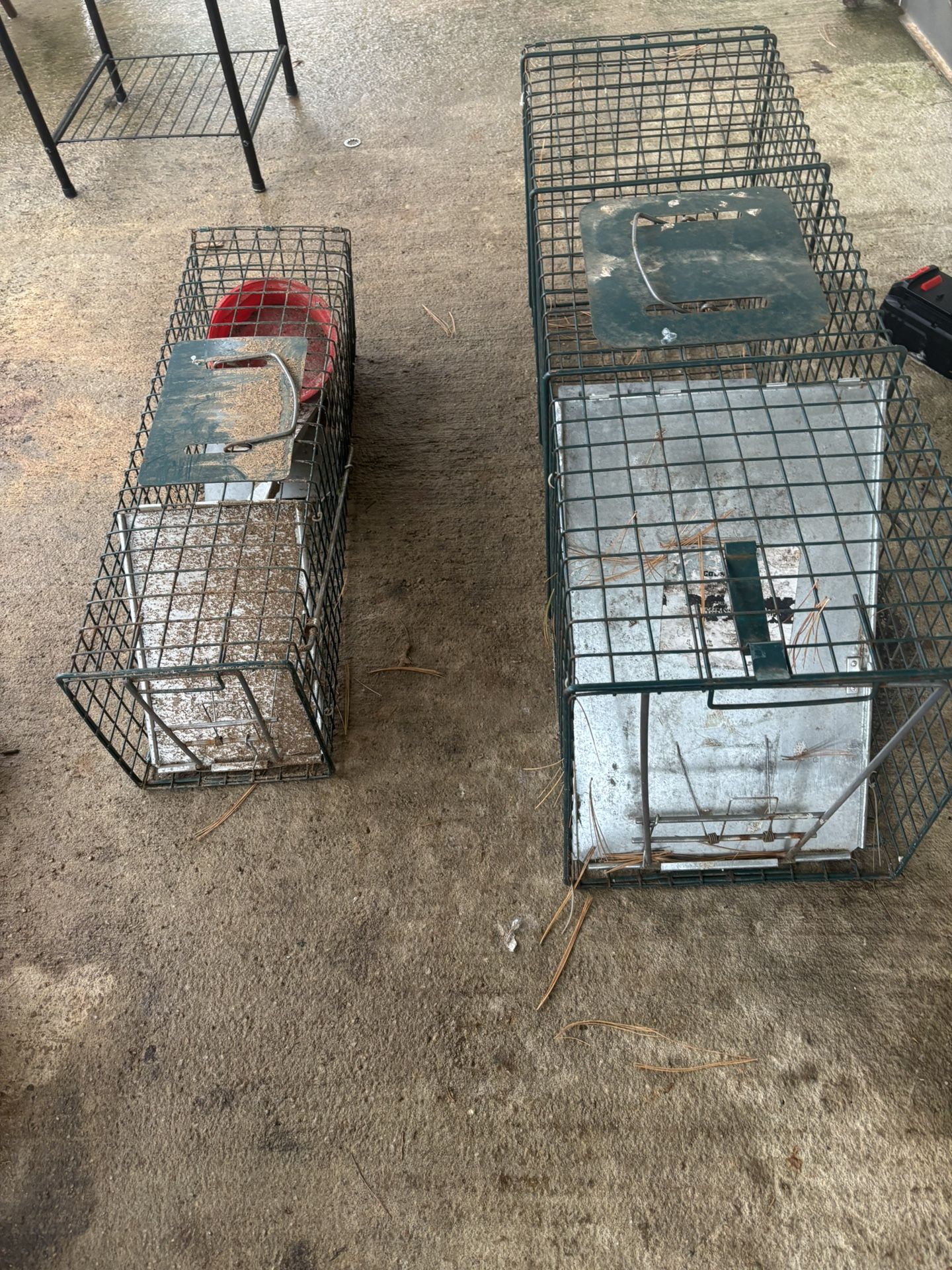 Rodent Traps