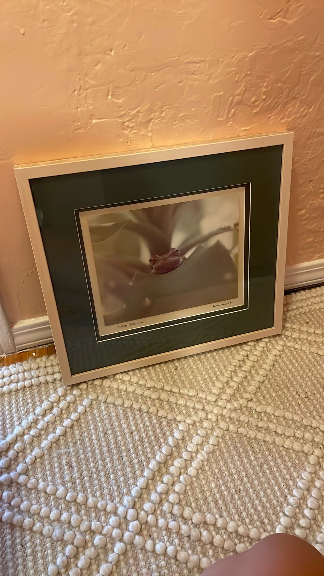Frog Photography Decor