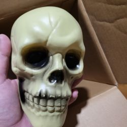 Skulls