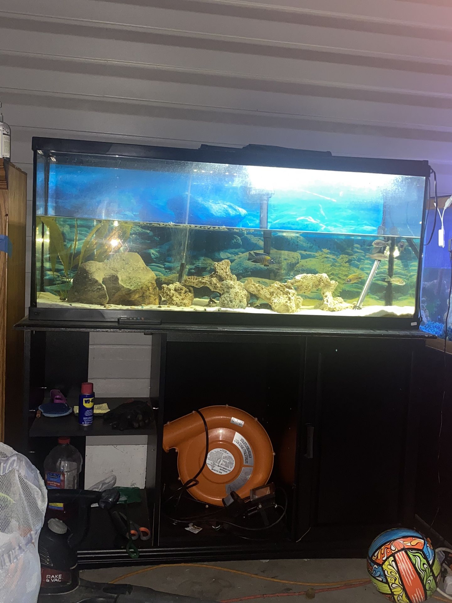 55 Gallon Tank And Stand ONLY  No Lights Or Fish 