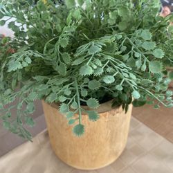 Fern Fake