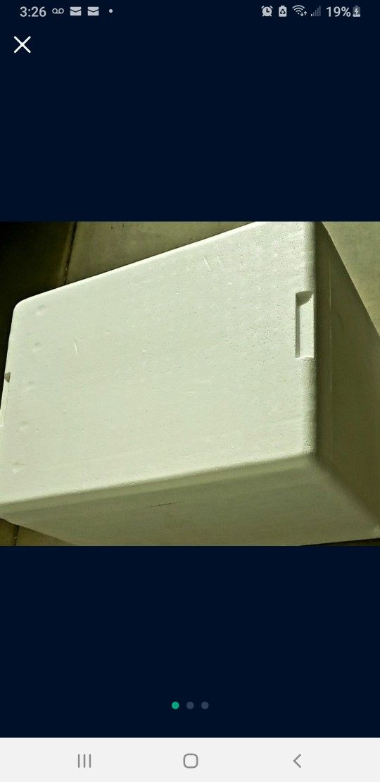 Large Foam Cooler/Ice Chest