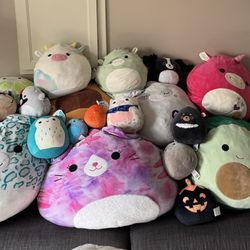 Awesome Squishmallow Collection 
