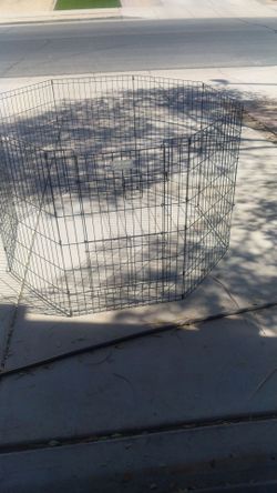 Top-paw dog run
