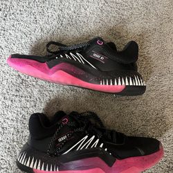 Adidas Basketball Shoes 