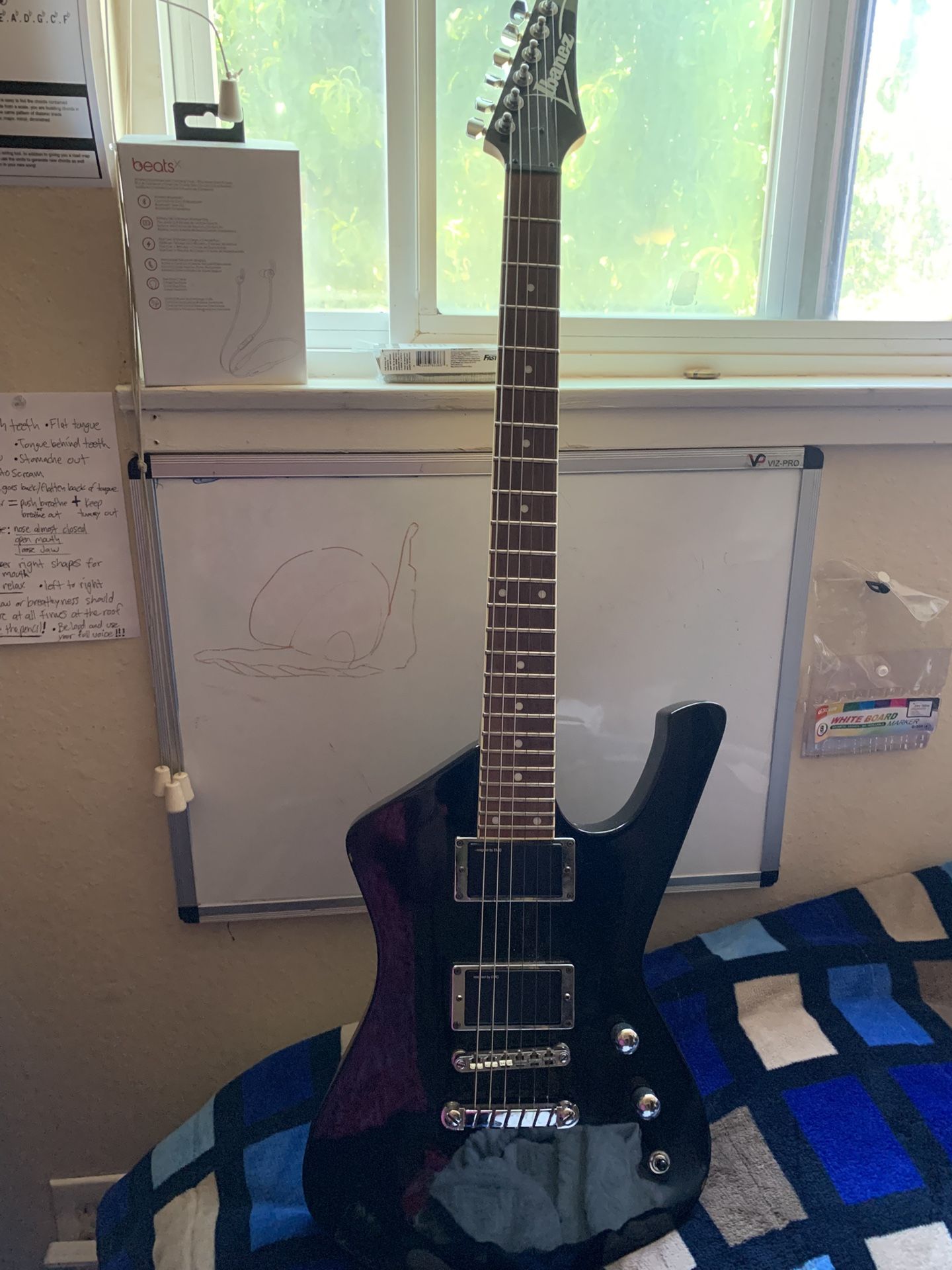 Guitar