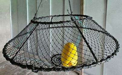 Hoop Net for Lobster and Crabs Traps