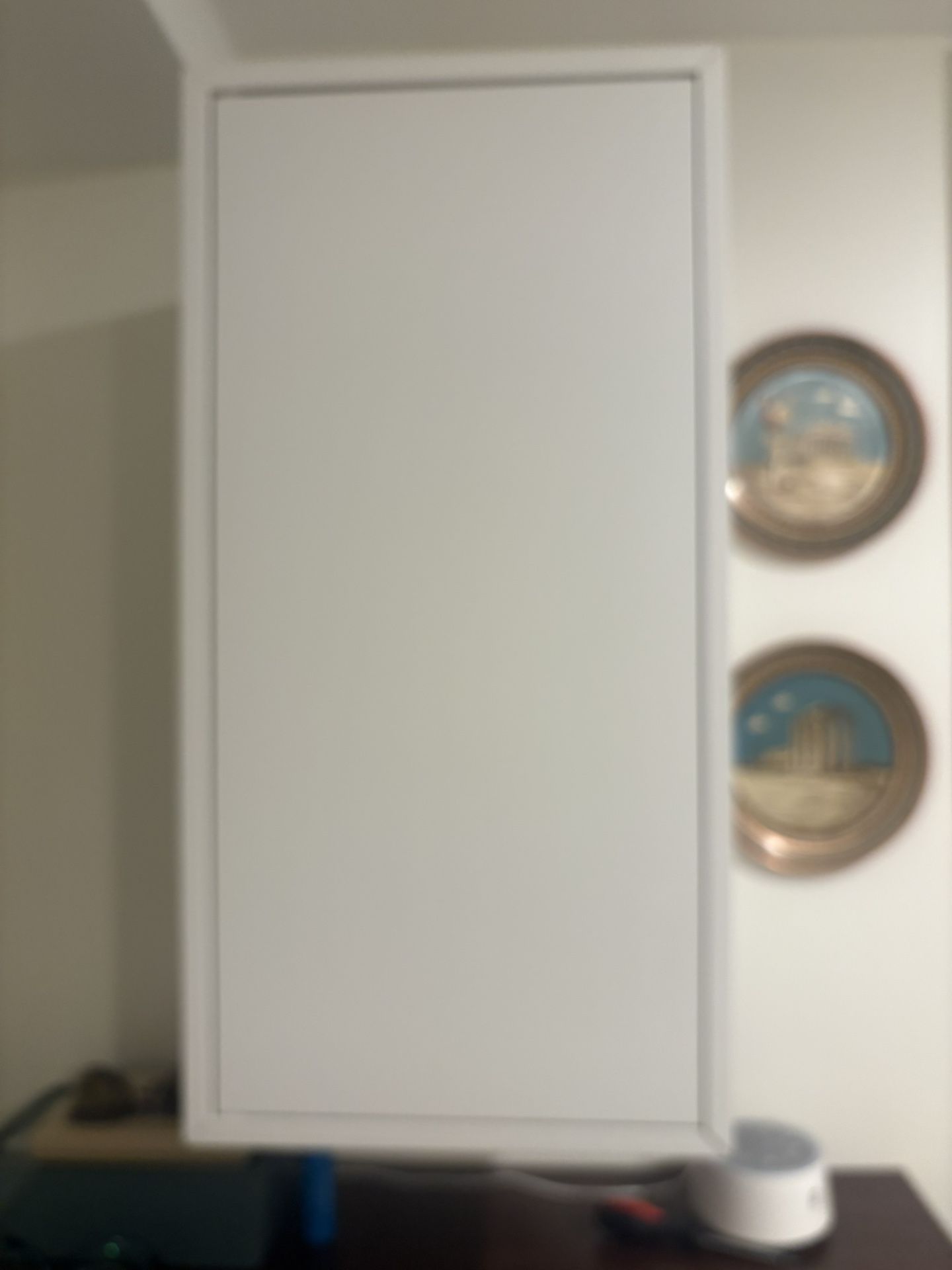 Mounted Wall Cabinet
