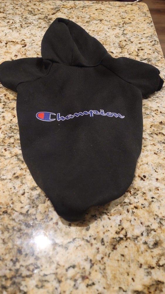 Designer Doggie Gear