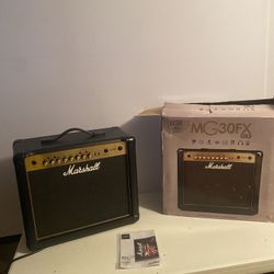 Marshall Mg30fx Amp