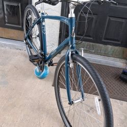 Raleigh Detour Aluminum Hybrid Bike 