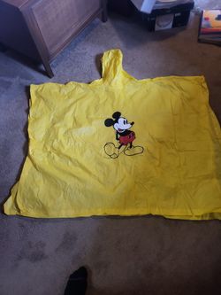 Disney Rain Pancho 