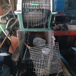 4 Animal Cages