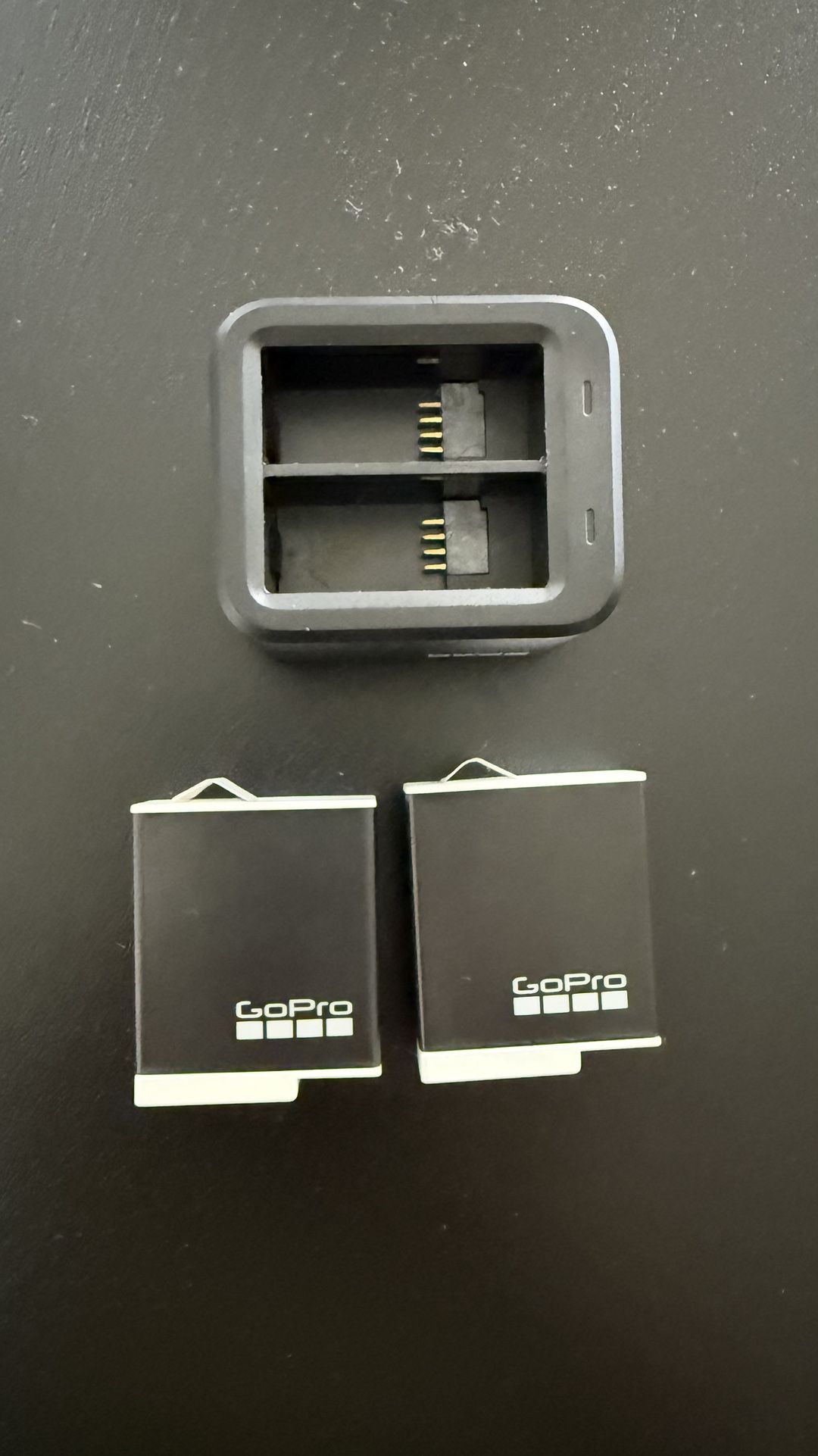GoPro Enduro Rechargeable Li-Ion Batteries With Dual Battery Charger