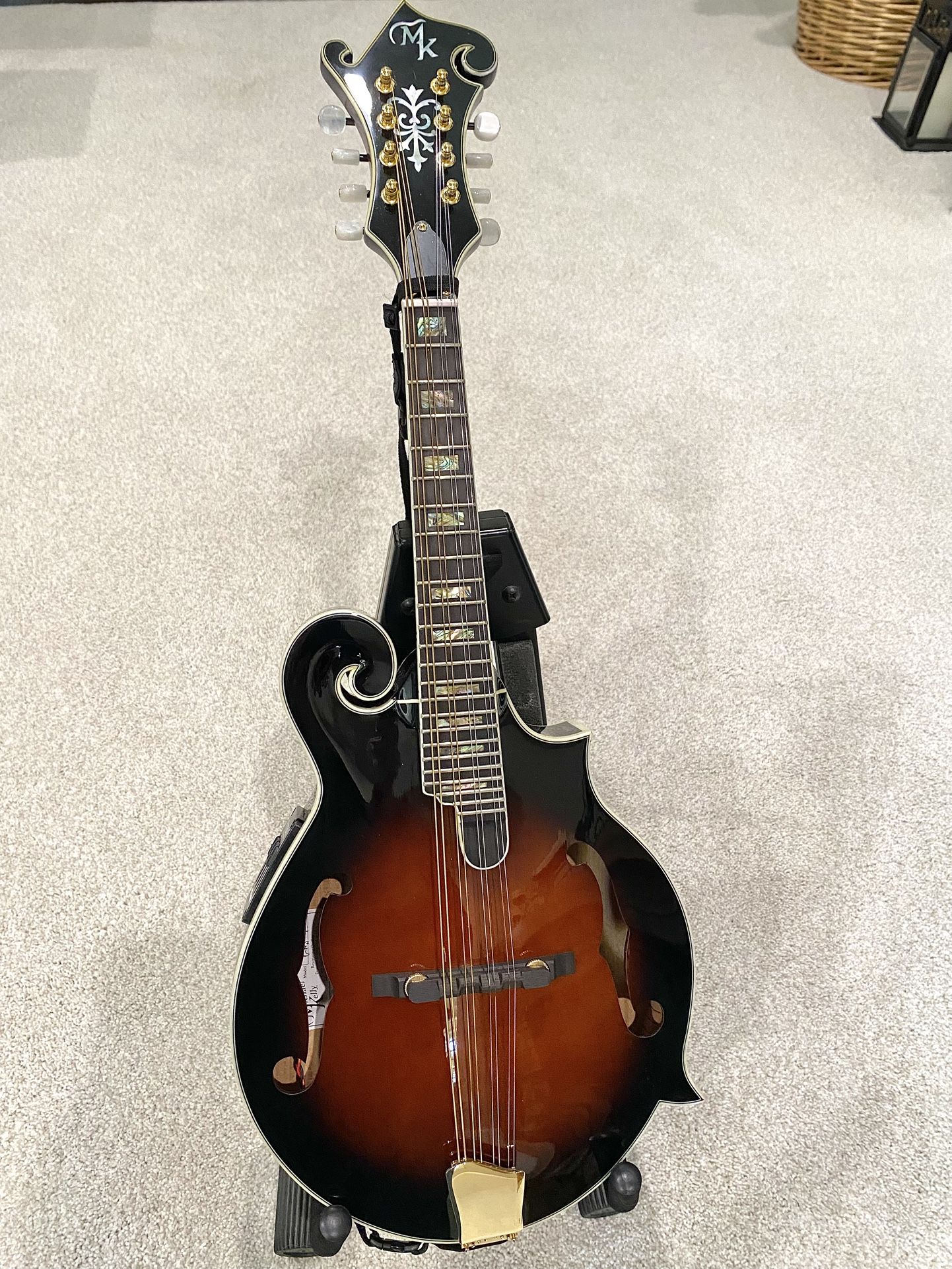Mandolin Michael Kelly F Series