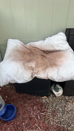 Dog bed it’s dirty but can be washed