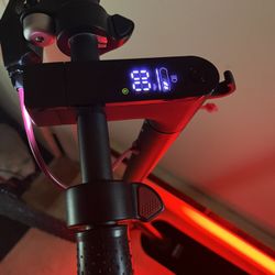 Electric Scooter 